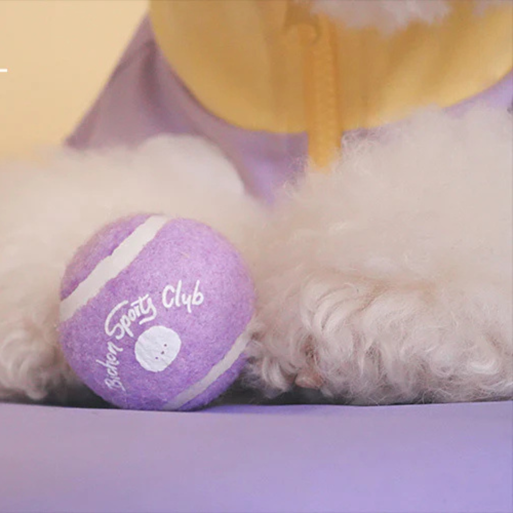 Bichon Frise Cotties Tennis Ball PET