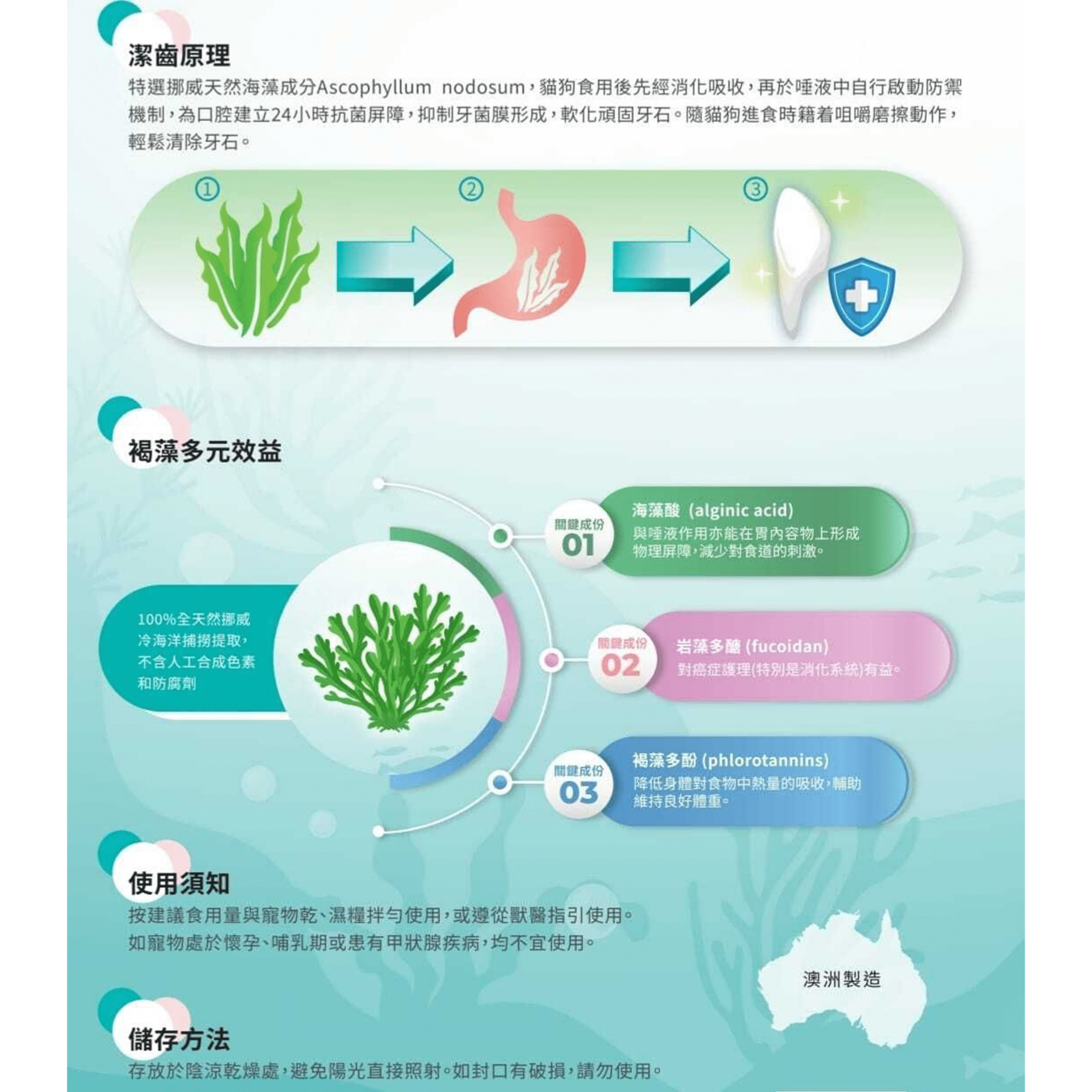 Papai Oral Fresh Dental Powder for Cats - PET