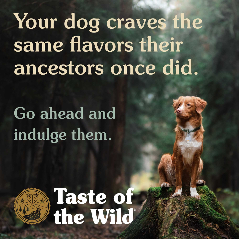 Diamond Taste Of Wild High prairie Canine Recipe with Roasted Bison & Roasted Venison Dog Dry Food PET