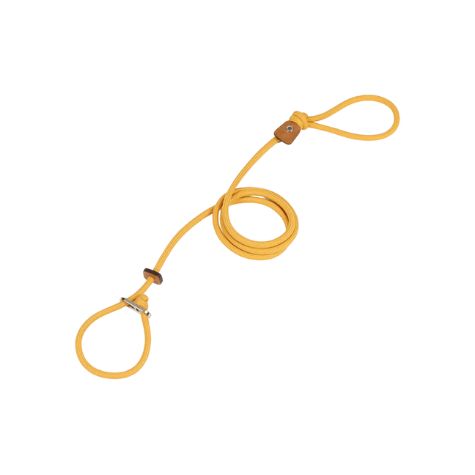 HOZI Slip Leash for dogs - Black / Beige / Orange / Mustard / Navy / Burgundy / Pink