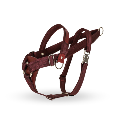 HOZI Bridle Harness - Black / Beige / Camel / Burgundy