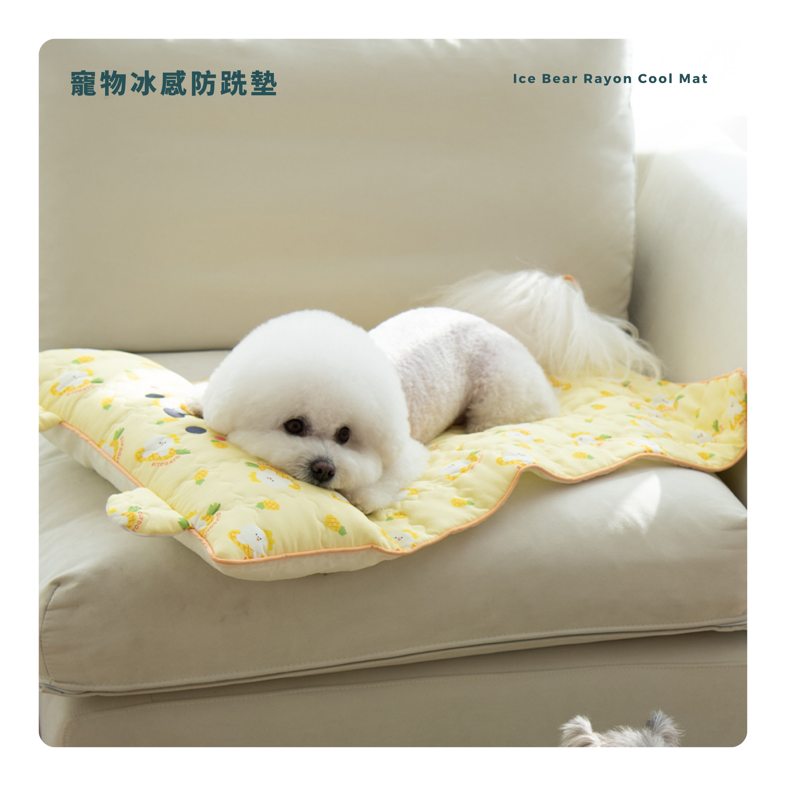 RITOGATO Ice Bear Rayon Cool Mat | 寵物冰感防跣墊
