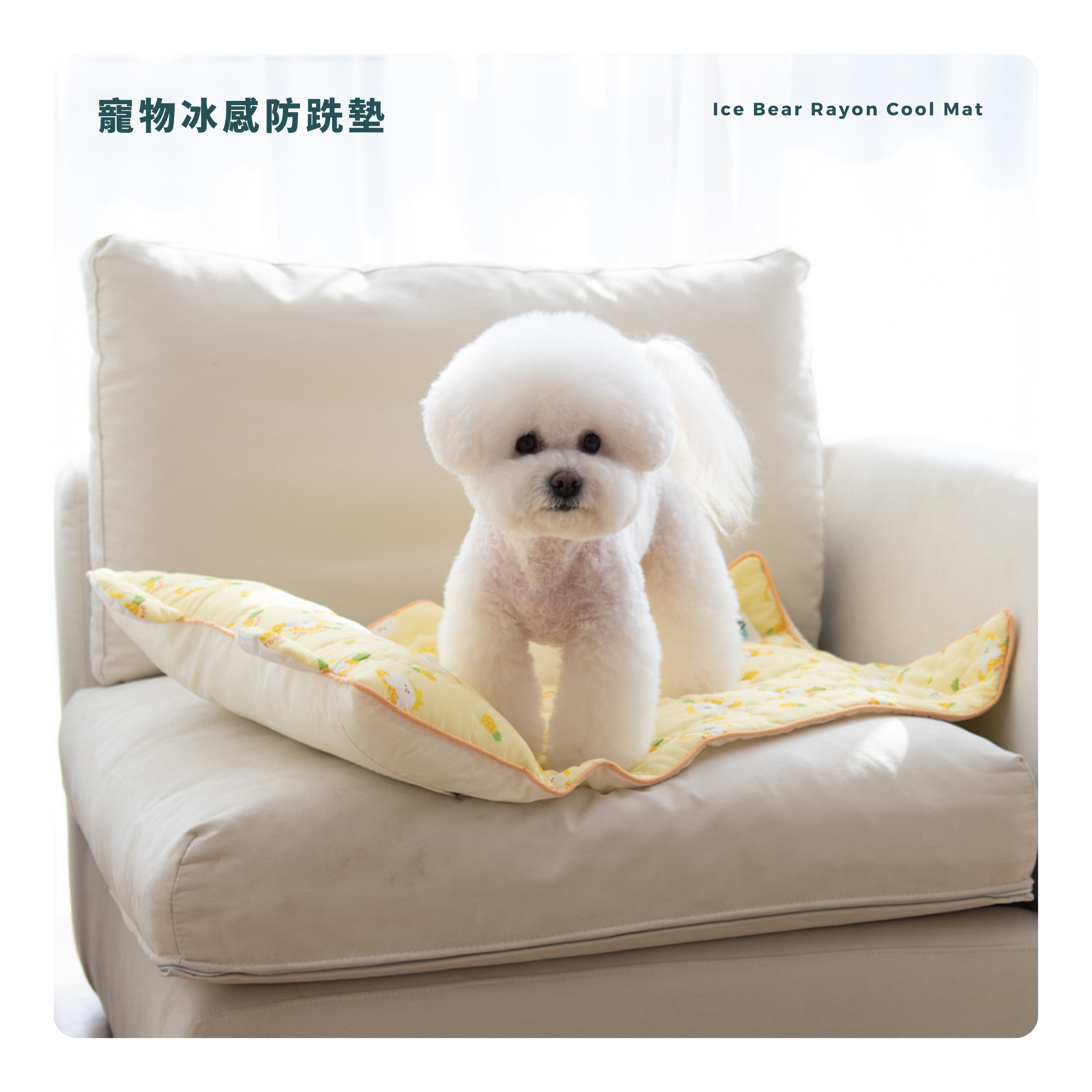 RITOGATO Ice Bear Rayon Cool Mat | 寵物冰感防跣墊