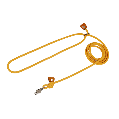 HOZI 3way Hands Free Leash - Versatile Leash for Walking, Jogging, and Hiking!