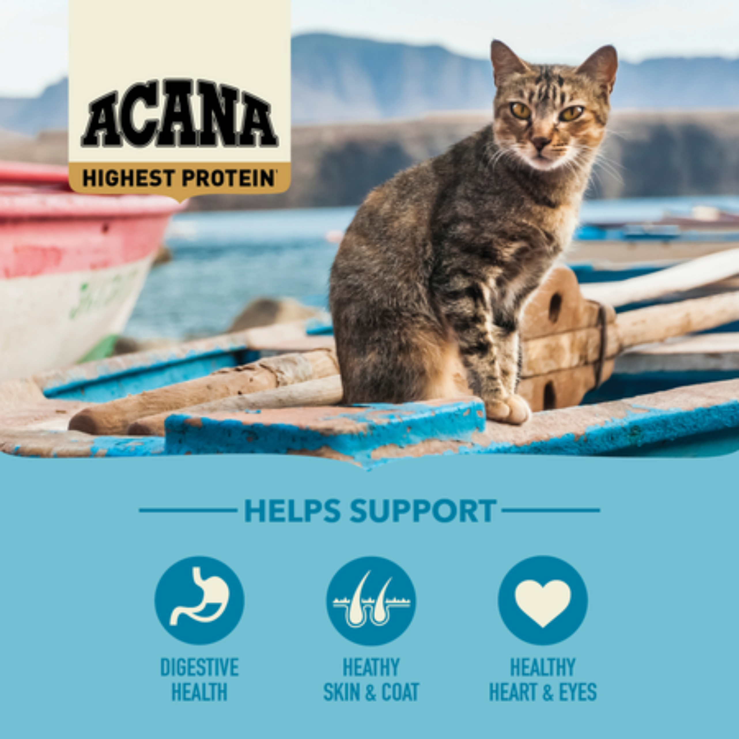 Acana Highest Protein Pacifica Dry Cat Food