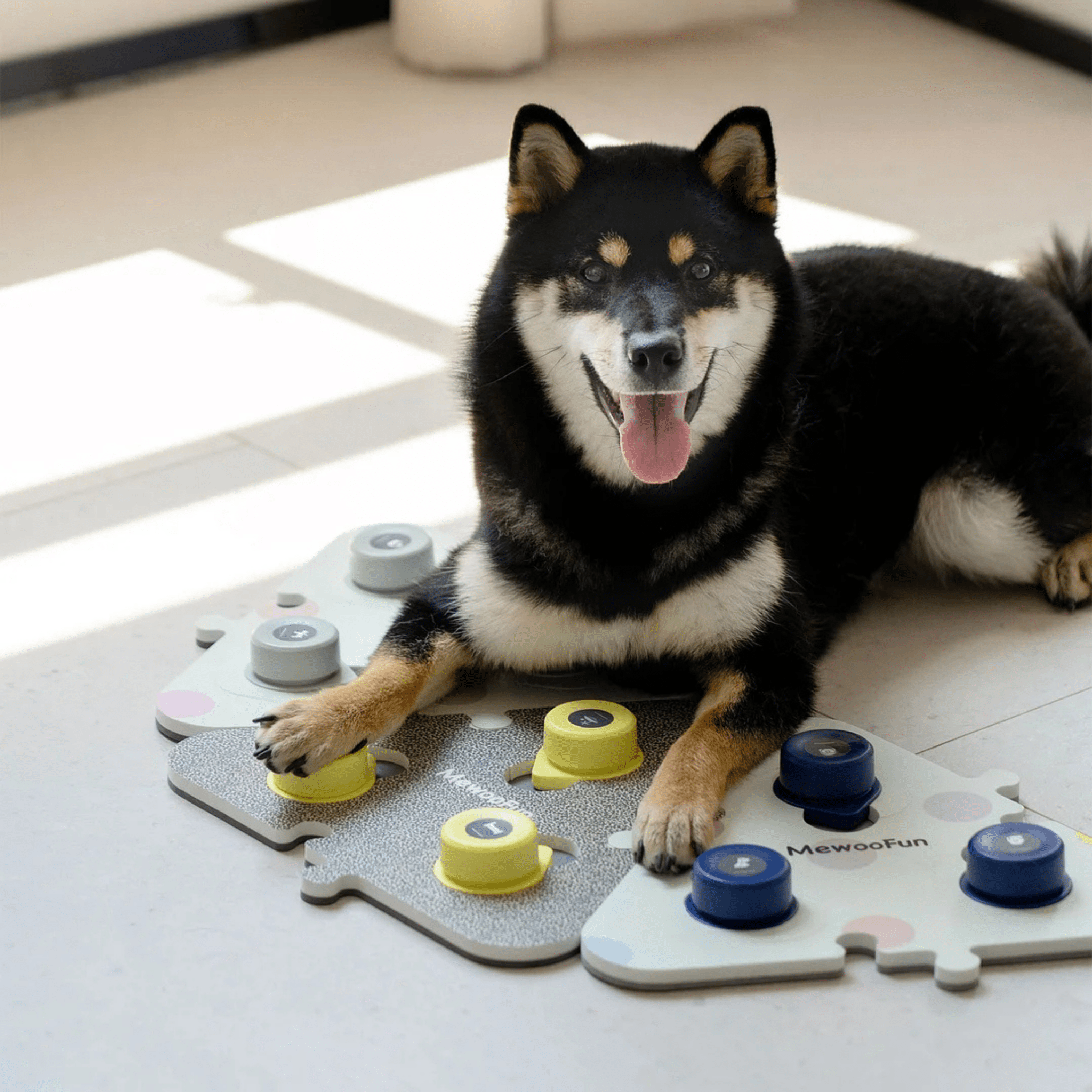 MEWOOFUN喵乎汪也 寵物溝通按鈕 - 灰色 | Dog Talking Button - Grey - PET