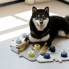 MEWOOFUN喵乎汪也 寵物溝通按鈕 - 灰色 | Dog Talking Button - Grey - PET