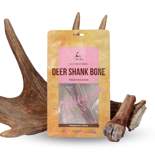 DEAR DEER Deer Shank Bone - PET