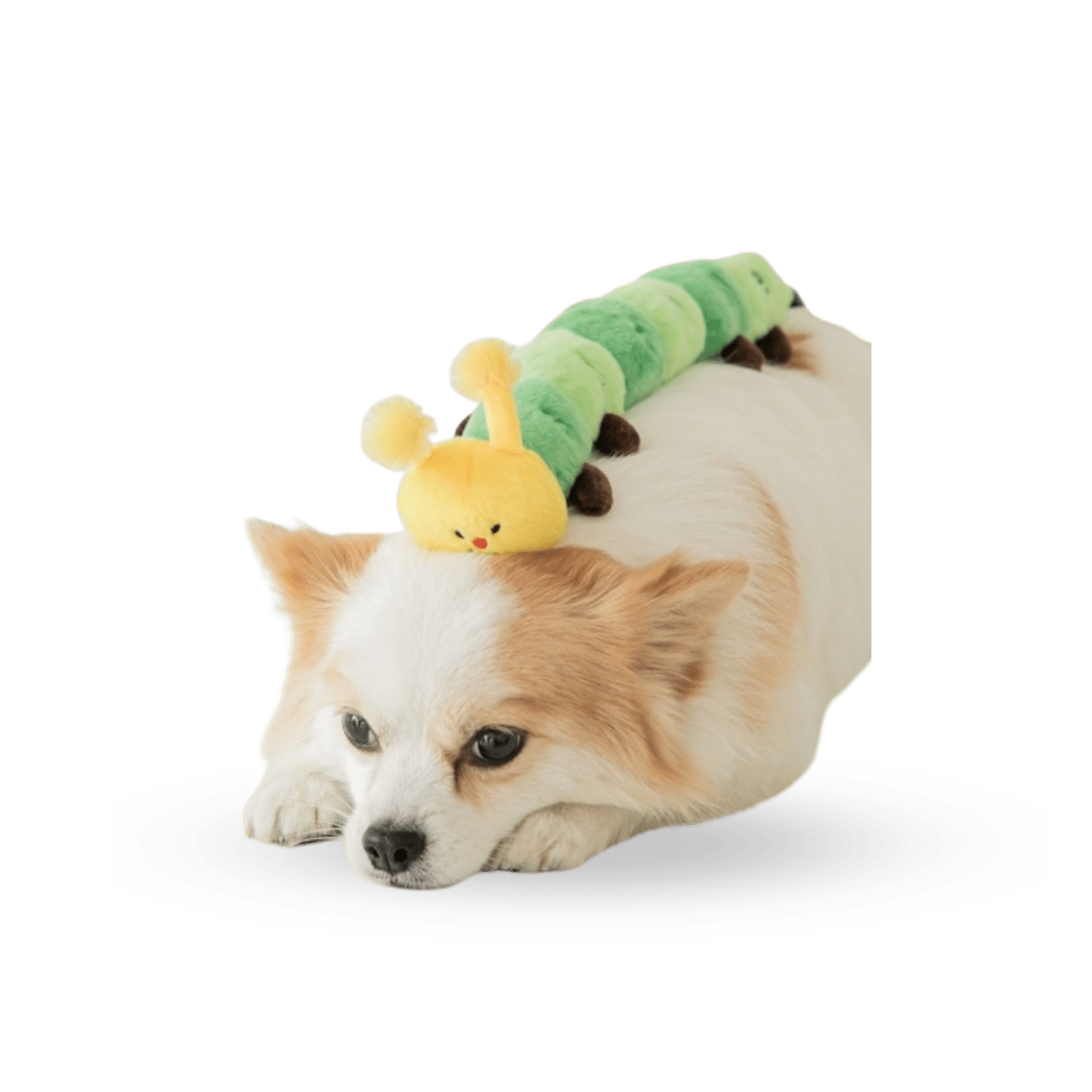 BITE ME Worm Tug Toy - PET