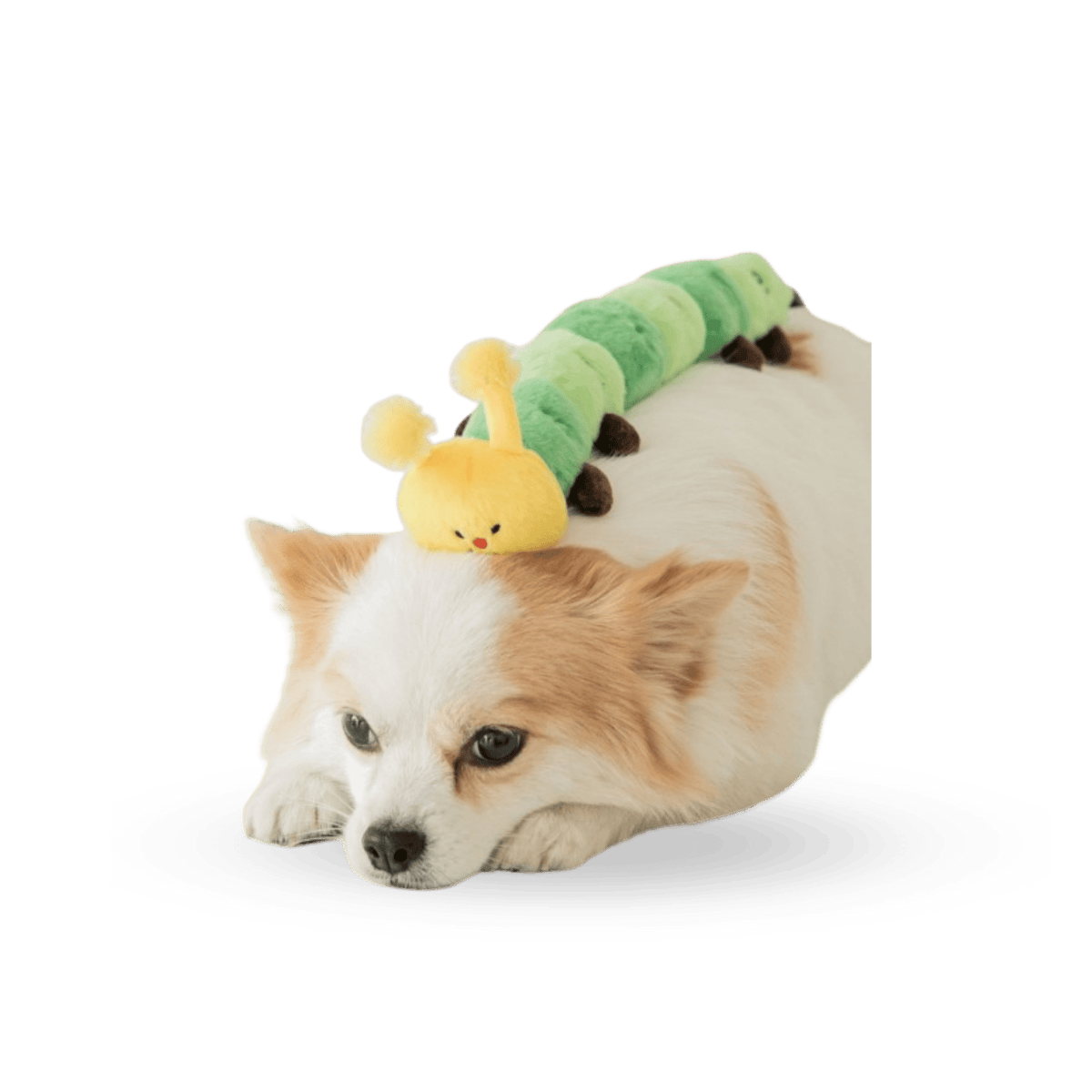 BITE ME Worm Tug Toy - PET