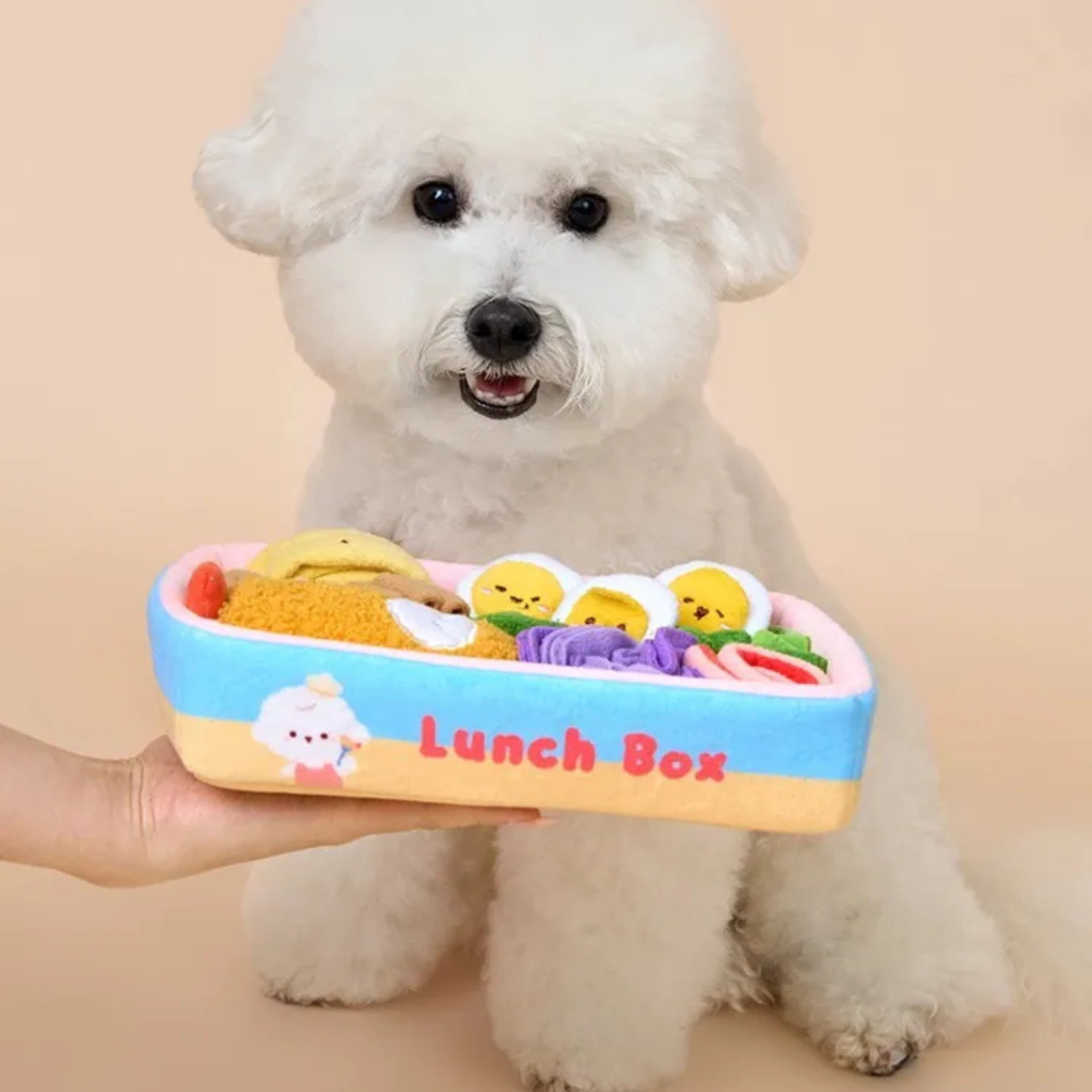Bichon Frise Cotties Mini Bento PET