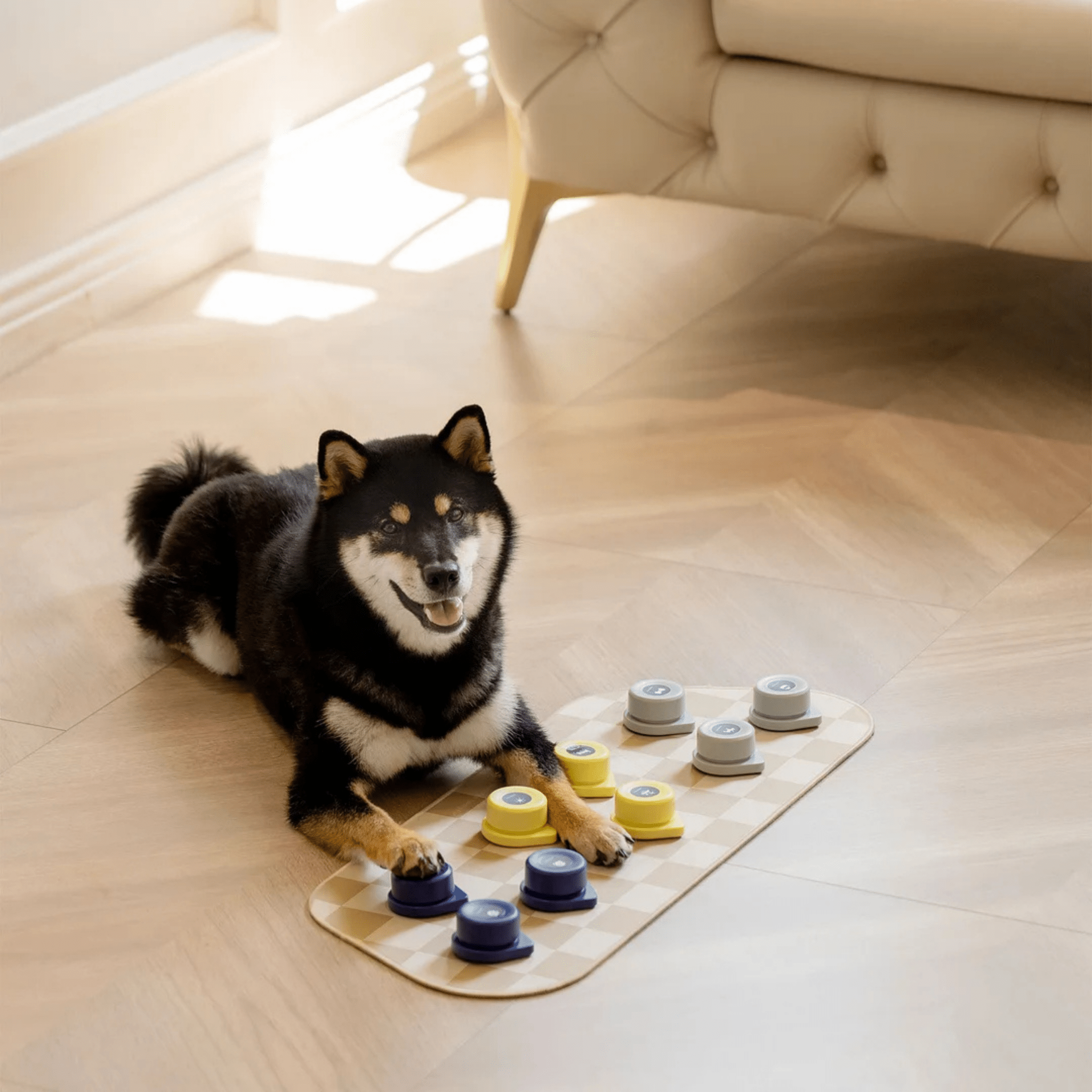 MEWOOFUN喵乎汪也 寵物溝通按鈕 - 灰色 | Dog Talking Button - Grey - PET