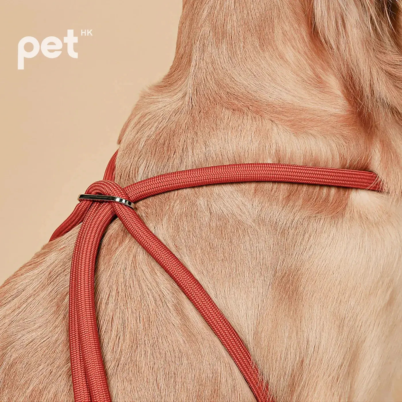 All-In-One Harness - Orange HOZI