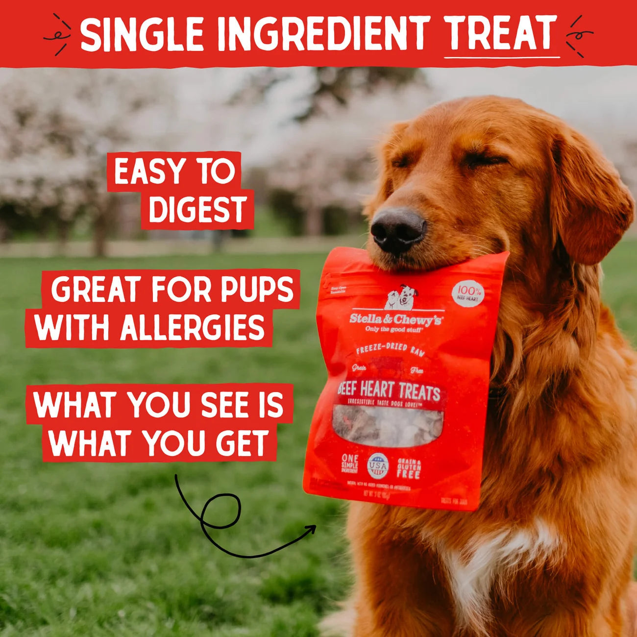 Stella & Chewy's Single Ingredient Treats - Beef Heart Treats 牛心 Stella & Chewy's