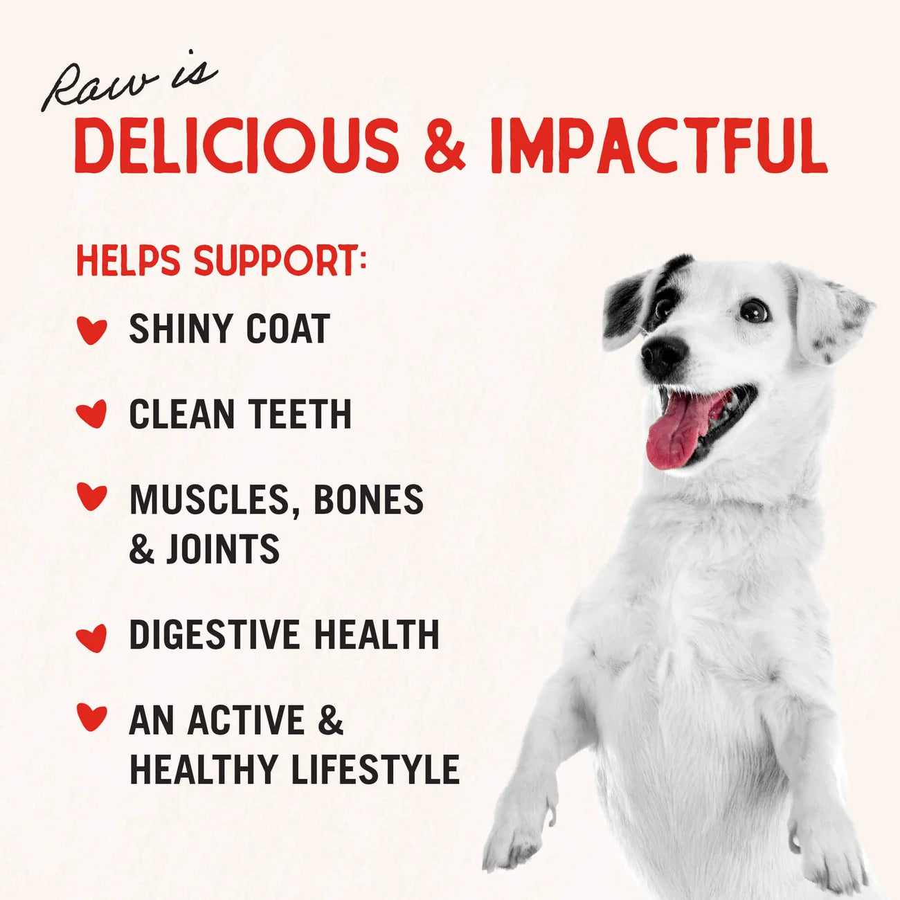 Stella & Chewy's Single Ingredient Treats - Beef Heart Treats 牛心 Stella & Chewy's