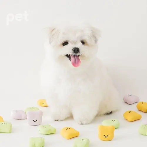 BITE ME Big Face Jelly Bear Latex Toy (3 pcs) Bite Me