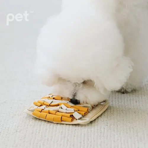 BITE ME Braining Spin and Snack Squirrel Toy Bite Me