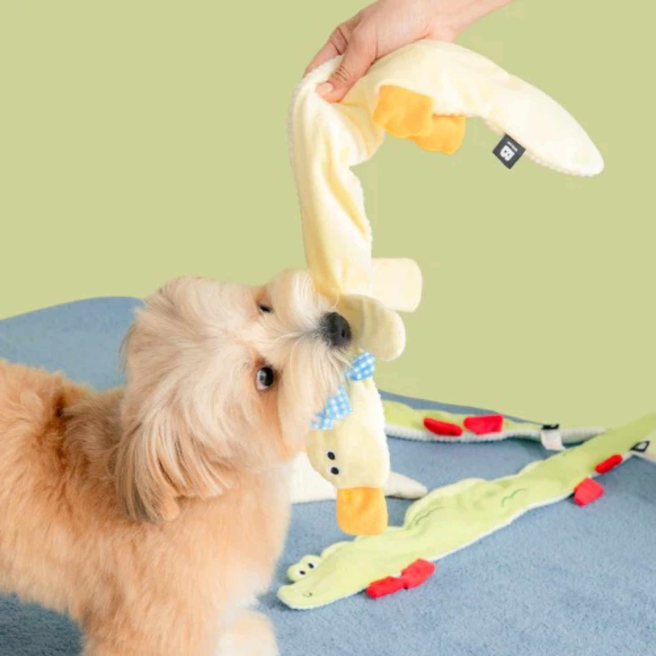 BITE ME Long Longs Tug Toy Bite Me