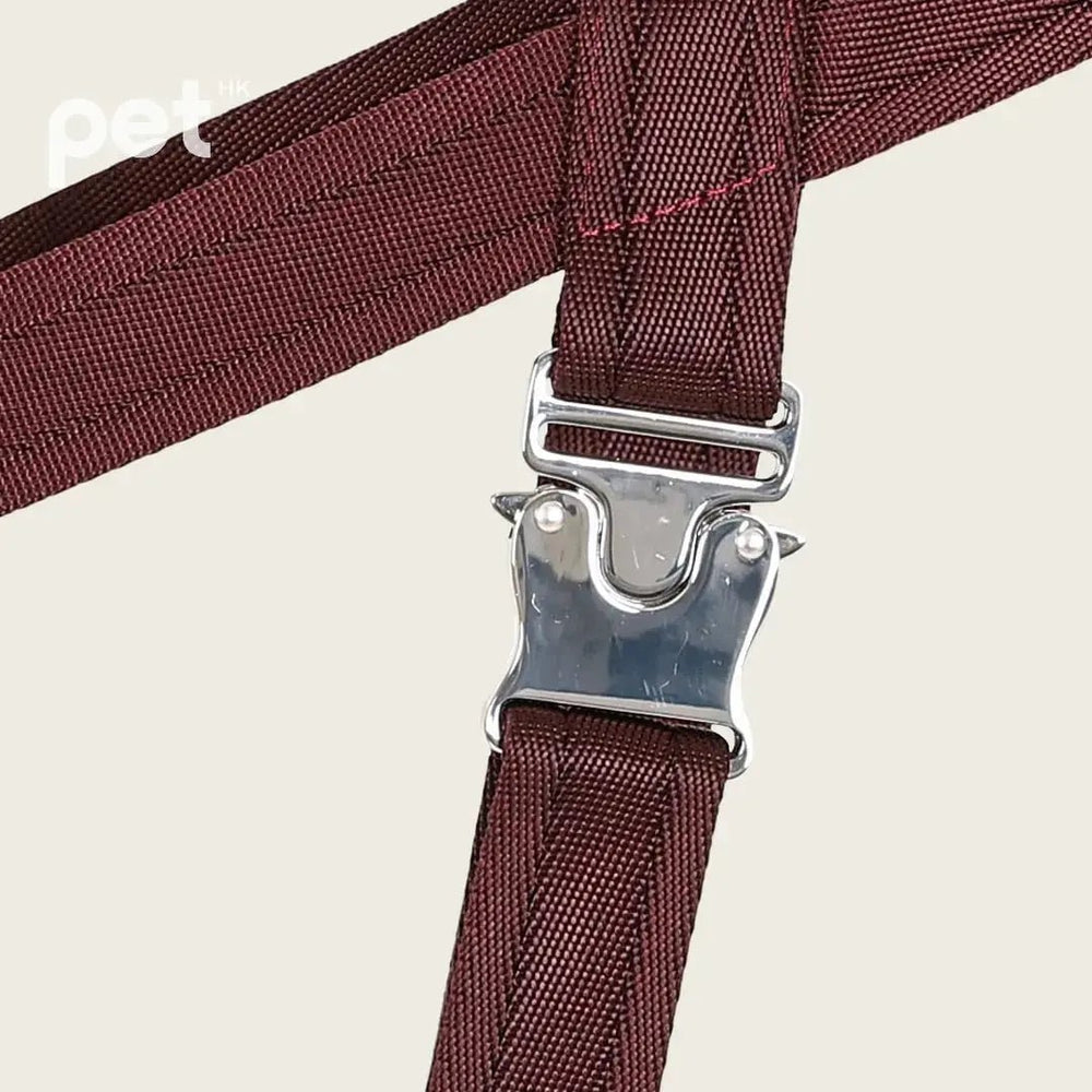 HOZI Bridle Harness - Black / Beige / Camel / Burgundy - PET