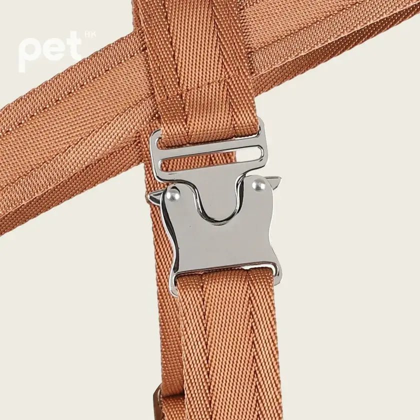 HOZI Bridle Harness - Black / Beige / Camel / Burgundy - PET