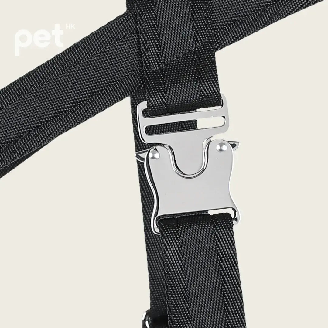 HOZI Bridle Harness - Black / Beige / Camel / Burgundy - PET