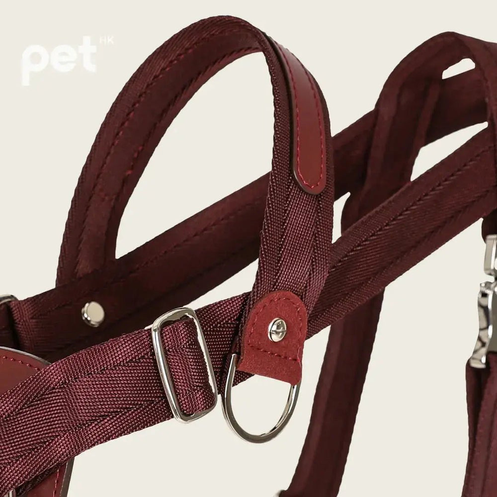 HOZI Bridle Harness - Black / Beige / Camel / Burgundy - PET
