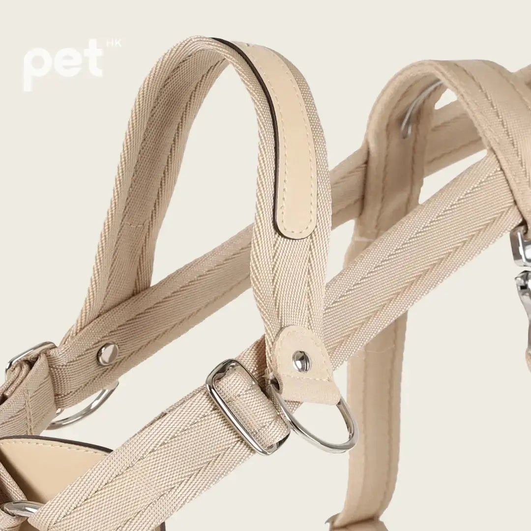 Bridle Harness - Black / Beige / Camel / Burgundy HOZI