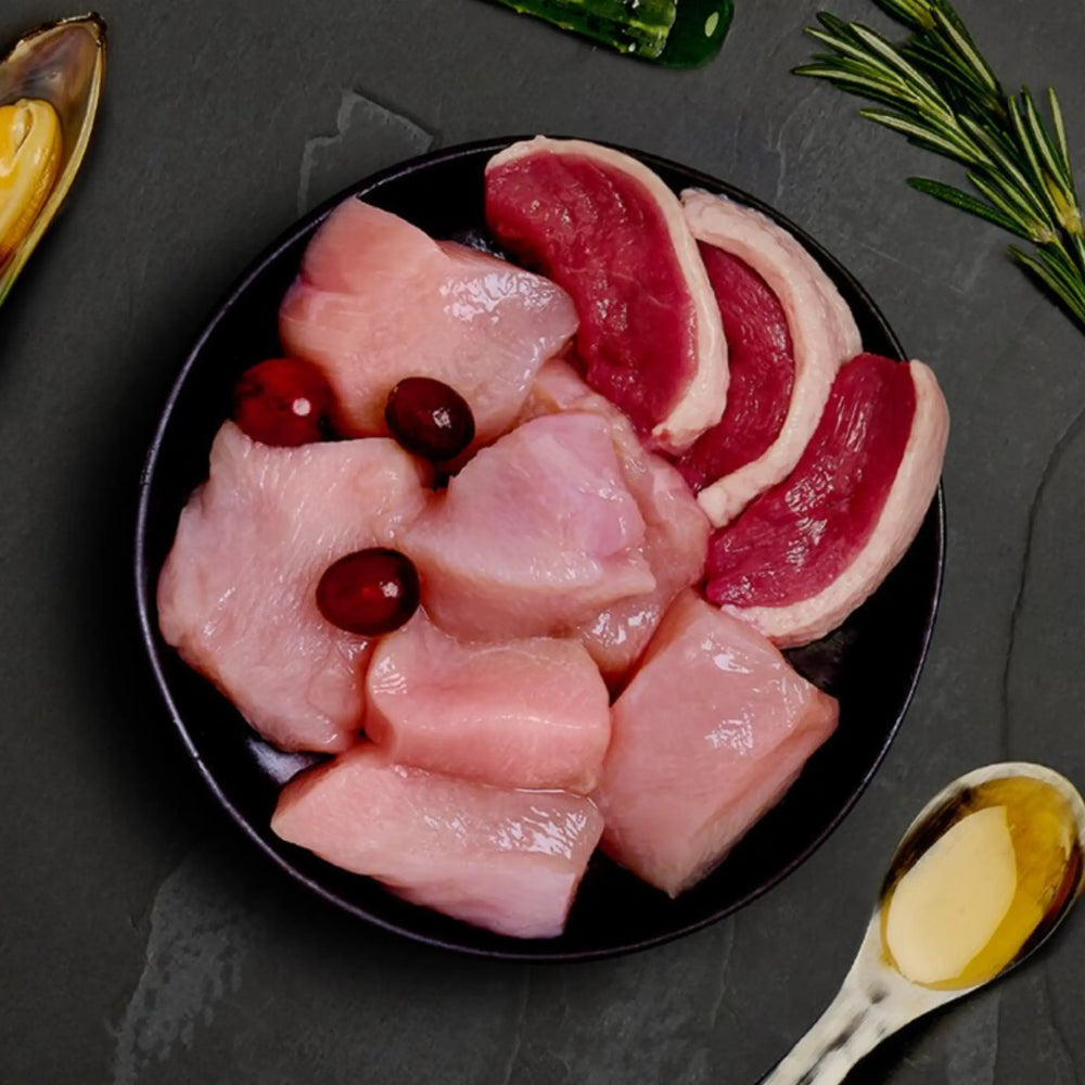 Canagan - Grain Free Cat Pouch - Chicken & Duck 滋味包: 成貓雞肉及鴨肉配方 85g thepethk