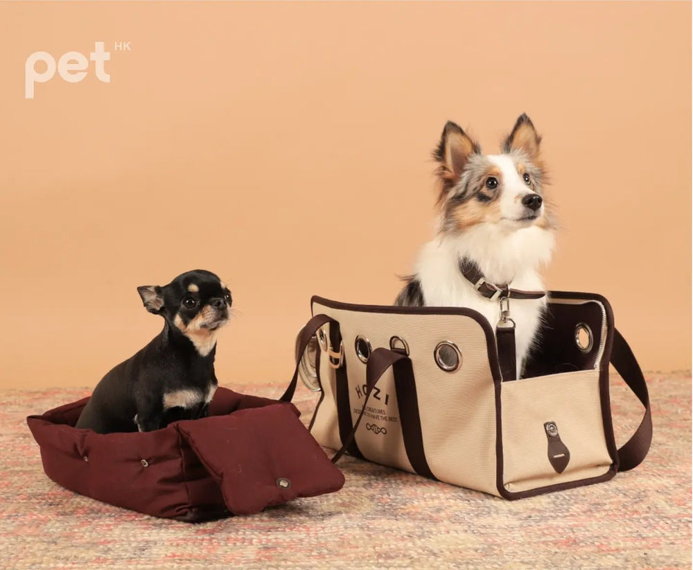 HOZI Canvas Carrier - Beige / Navy - PET