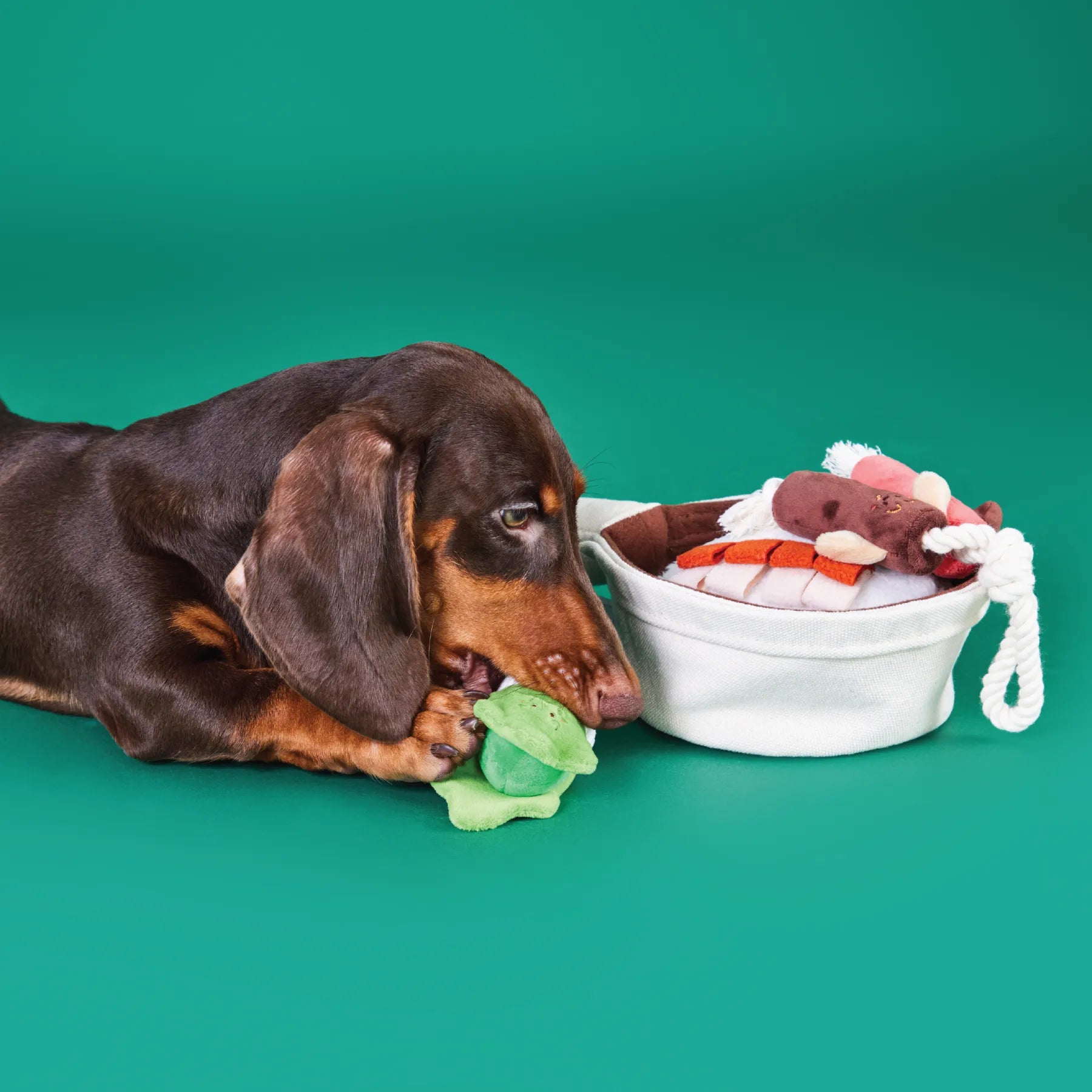 PP Lab - Claypot Rice with Lap Mei | Cat Toy | 煲仔飯臘味 | 貓玩具 Bite Me