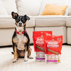 Stella & Chewy's Dental Delights - X-Small Treats x 44 (大 44支袋裝 超小型犬) Stella & Chewy's