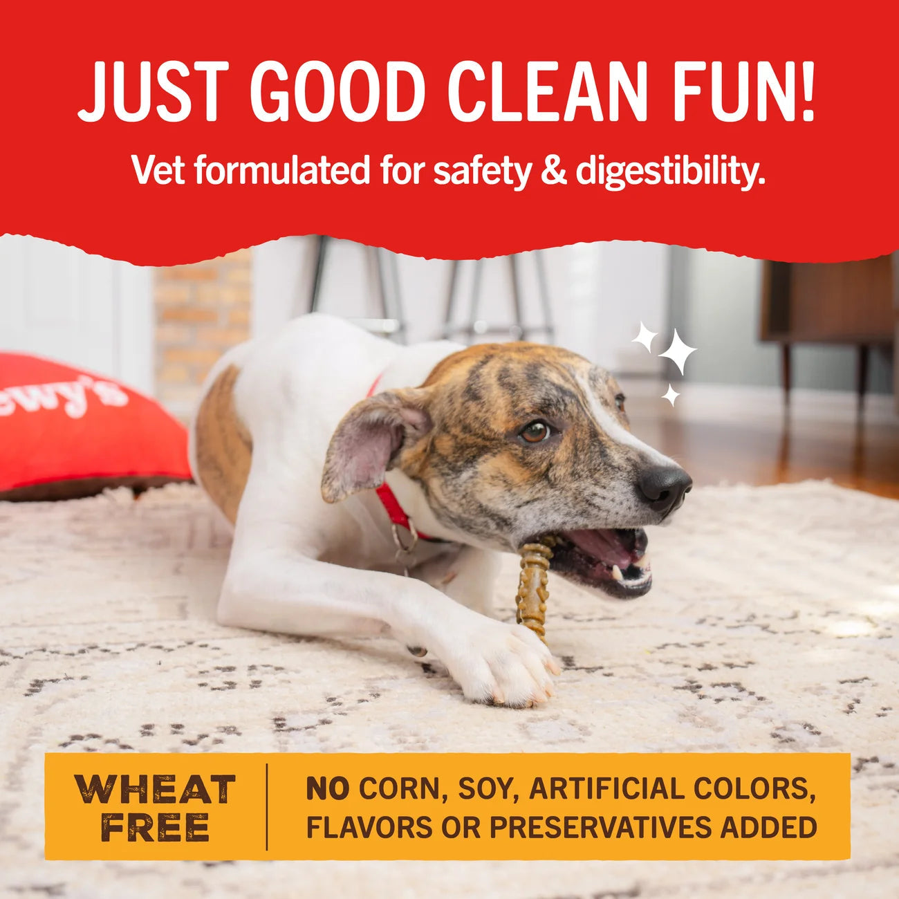 Stella & Chewy's Dental Delights - X-Small Treats x 44 (大 44支袋裝 超小型犬) Stella & Chewy's