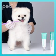 Doocamedi Cellcare Dental 寵物幹細胞牙膏 DOOCAMEDI