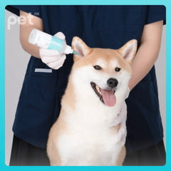 Doocamedi Cellcare Earcle: Premium Stem Cell Anti-Inflammatory Ear Cleaner for Pets DOOCAMEDI