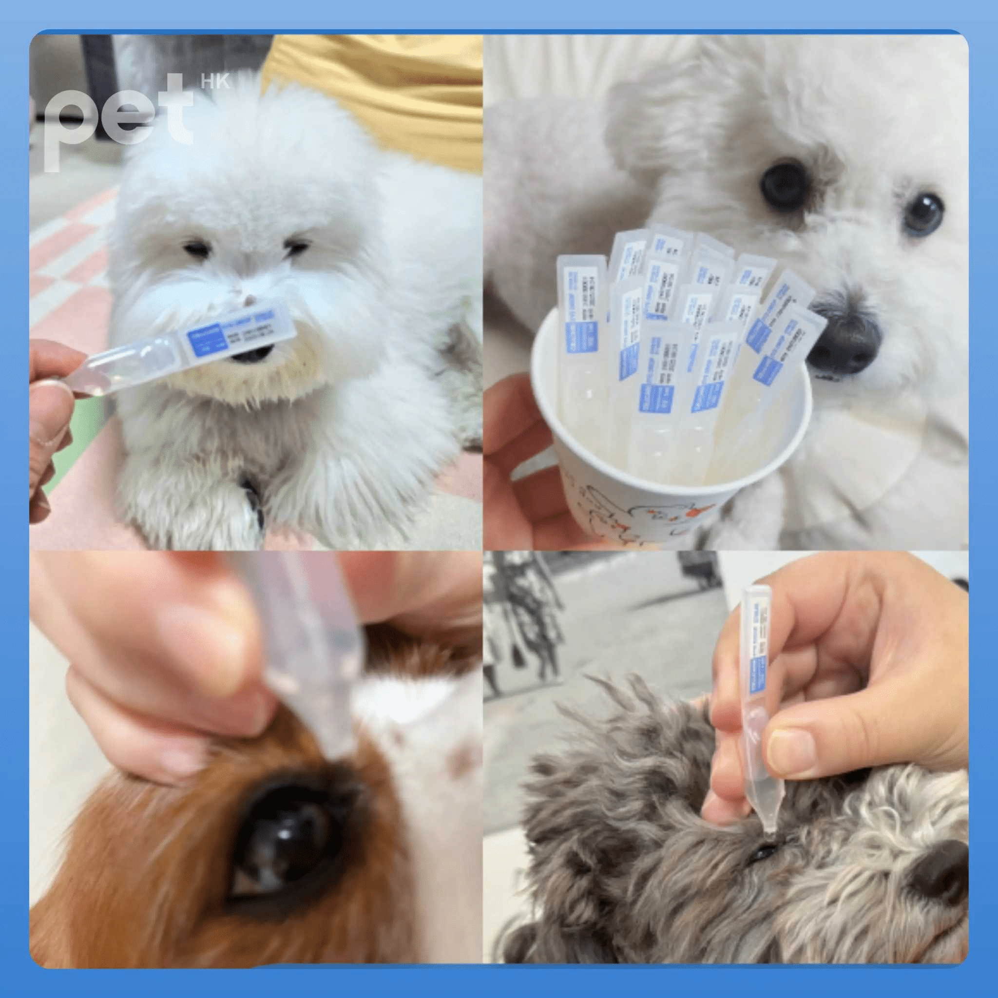 Doocamedi Ultimate Cat Eye Care Bundle - PET