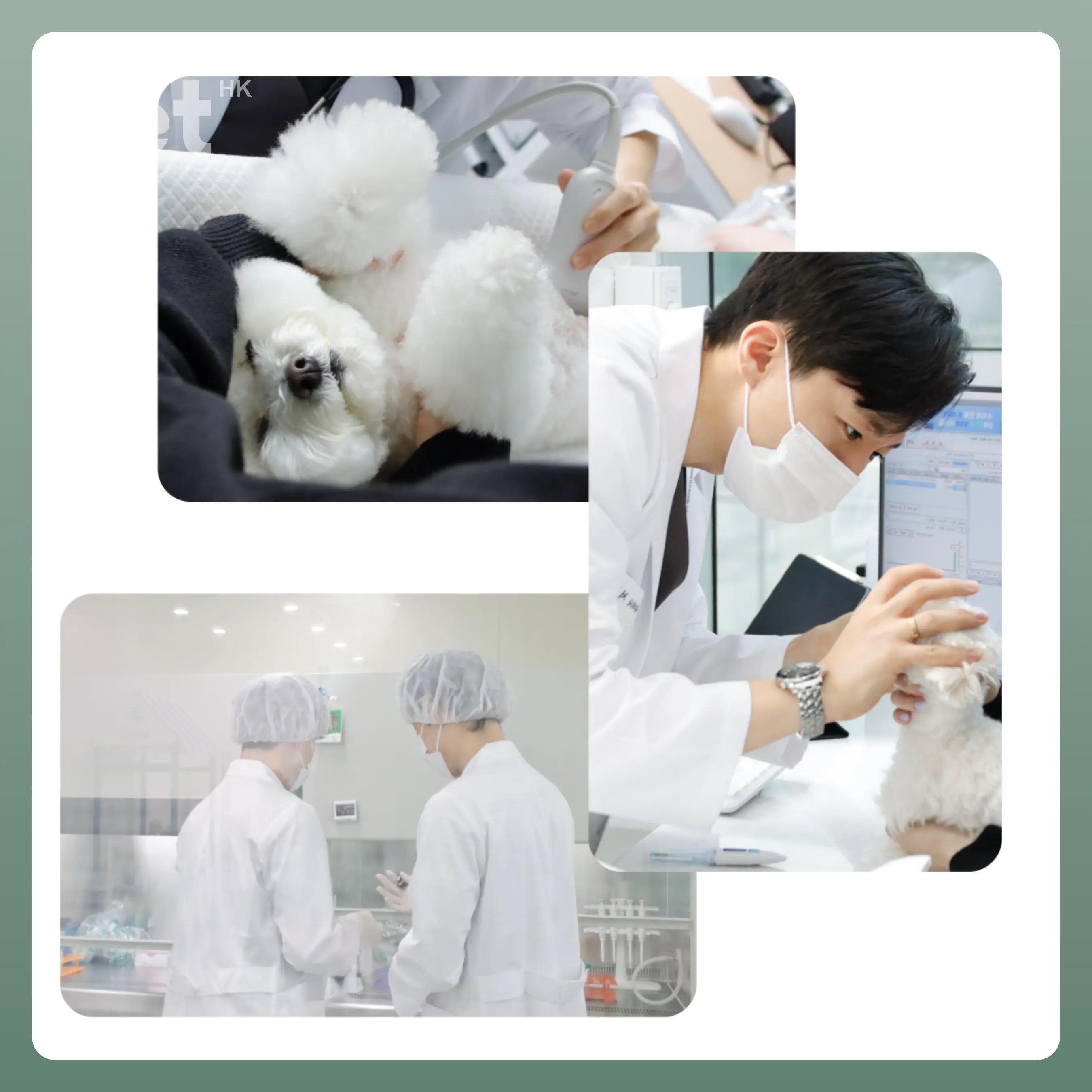 Doocamedi Cellcare Shampoo 幹細胞多合一沖涼洗毛液 DOOCAMEDI