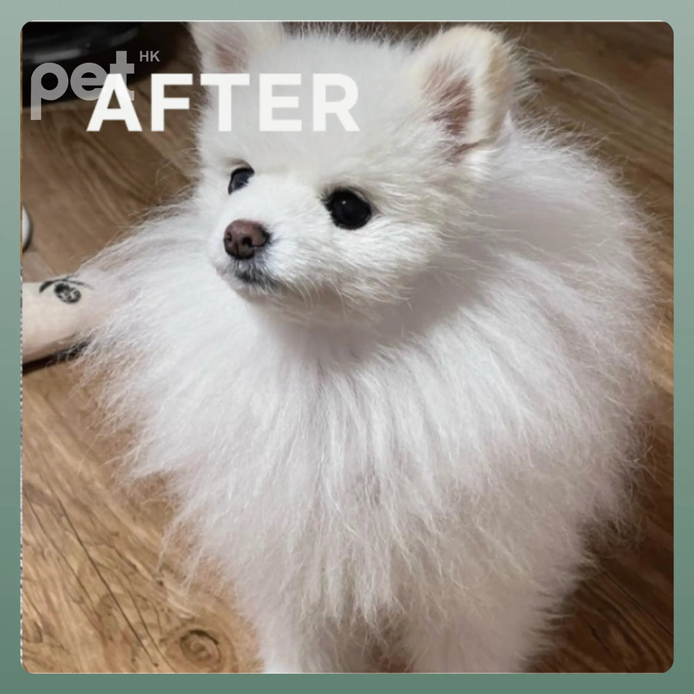 Doocamedi Cellcare Shampoo 幹細胞多合一沖涼洗毛液 DOOCAMEDI