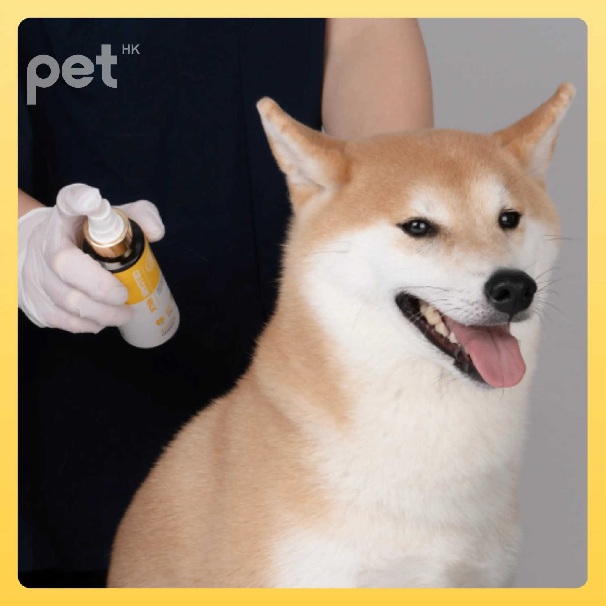 Doocamedi Cellcare Walk Stem Cell Pet Anti-Flea Spray being applied to a dog
