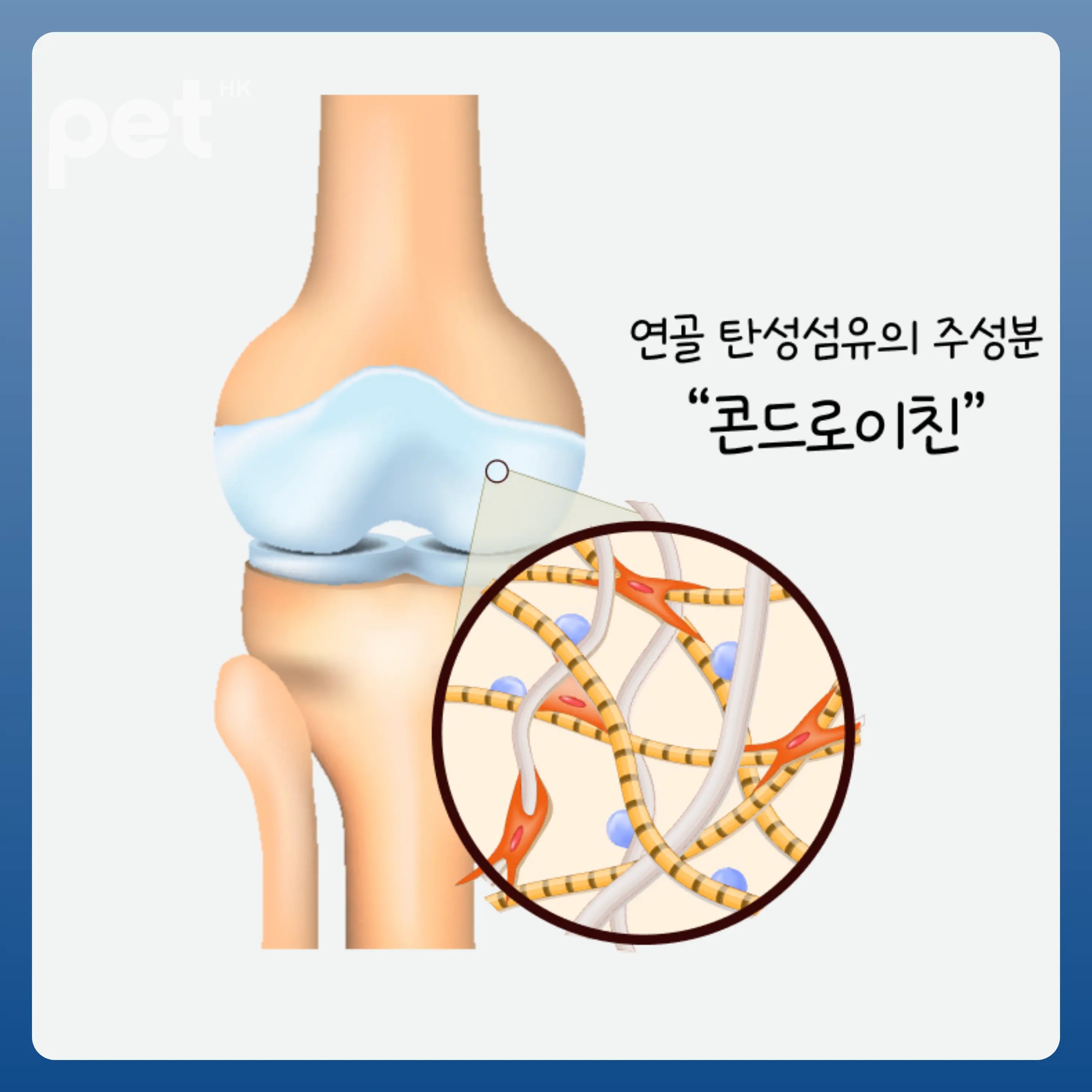 Doocamedi Chondroitin+ JOINT: Revitalize Your Pets with Optimal Joint Health DOOCAMEDI