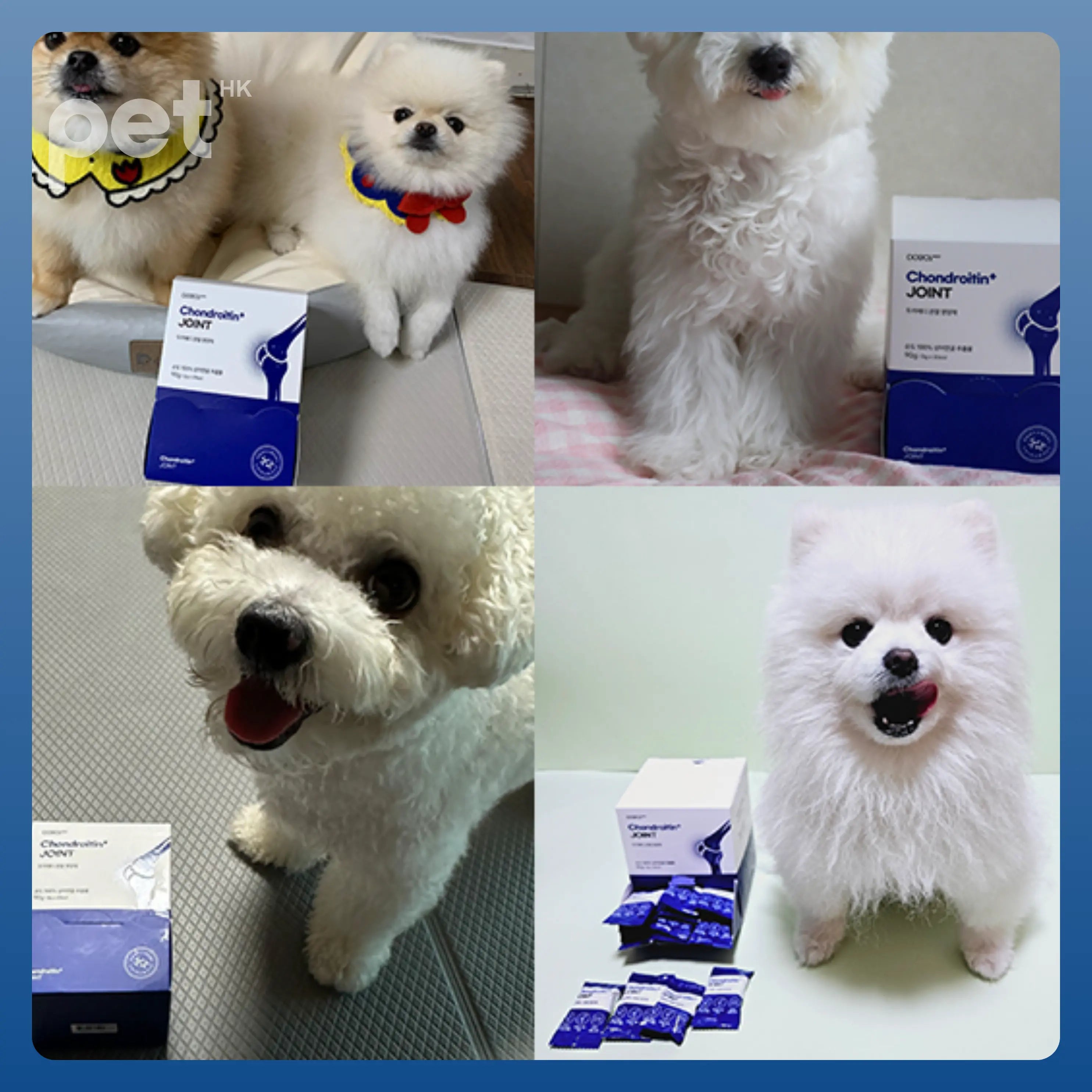 Doocamedi Chondroitin+ JOINT: Revitalize Your Pets with Optimal Joint Health DOOCAMEDI