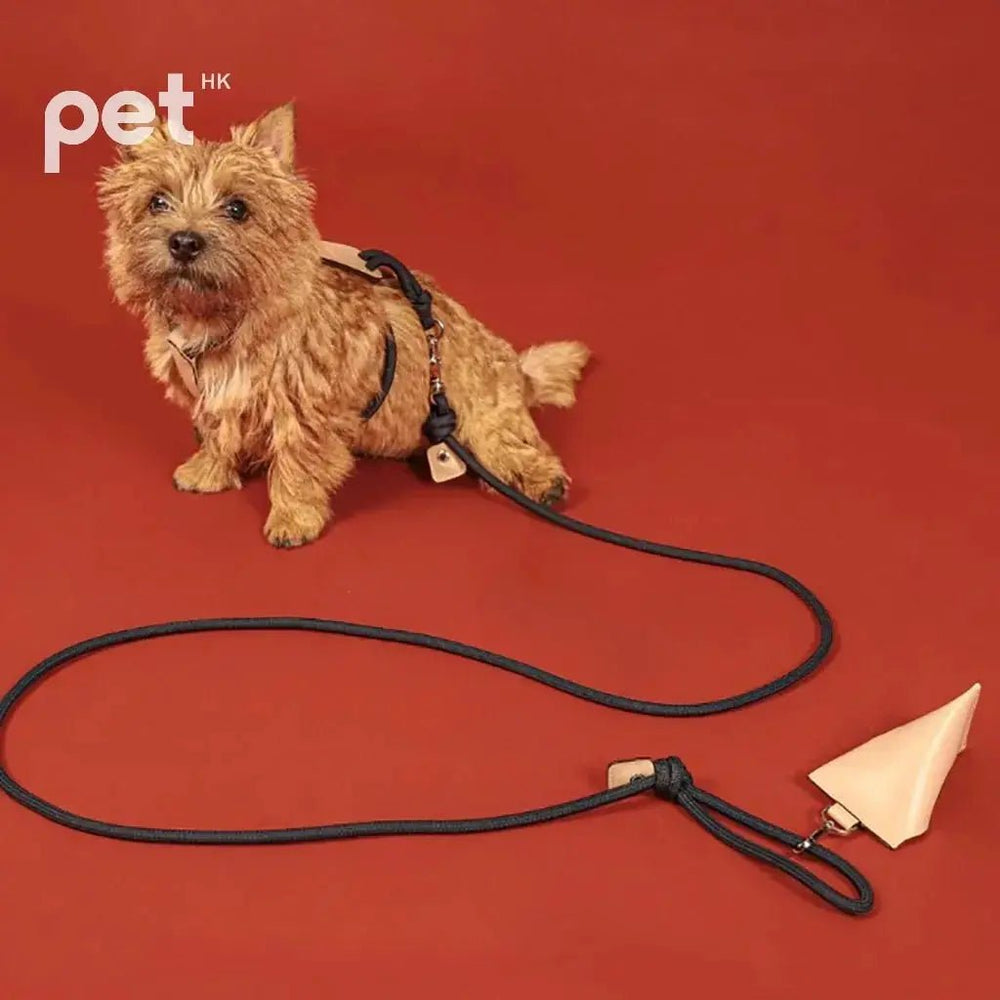HOZI Essential Leash - Soft Rope Leash, Lightweight and Durable, Available in 7 Stylish Colors and 3 Sizes - PET