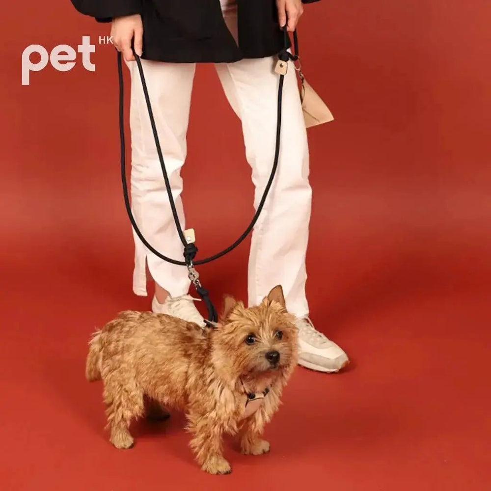 HOZI Essential Leash - Soft Rope Leash, Lightweight and Durable, Available in 7 Stylish Colors and 3 Sizes - PET