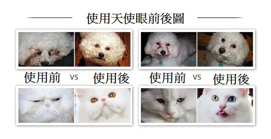 Eye Envy Tear Stain Remover Powder For Dog and Cat | 天然去淚痕粉 (貓犬用) PET