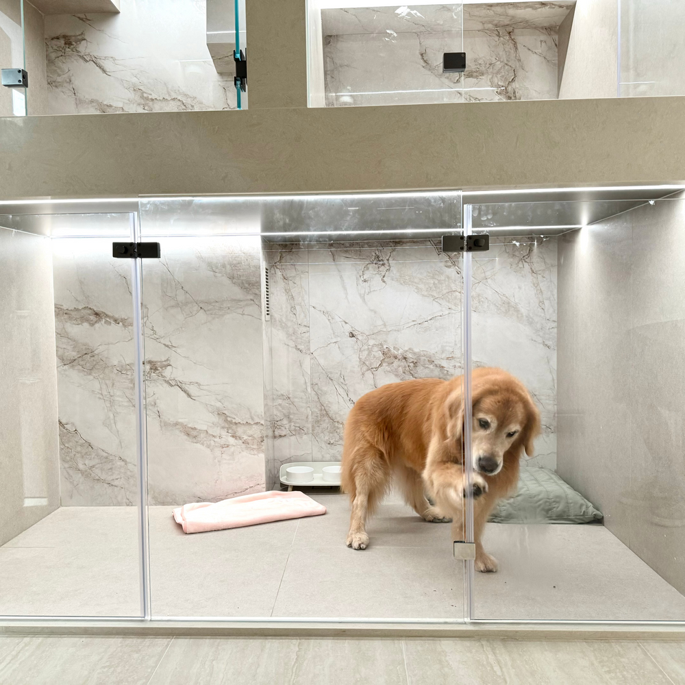 酒店服務 Hotel Services thepethk