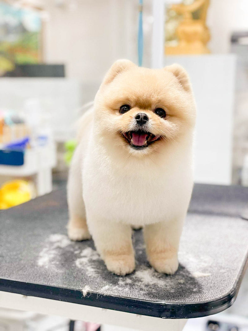 fallback text for an image