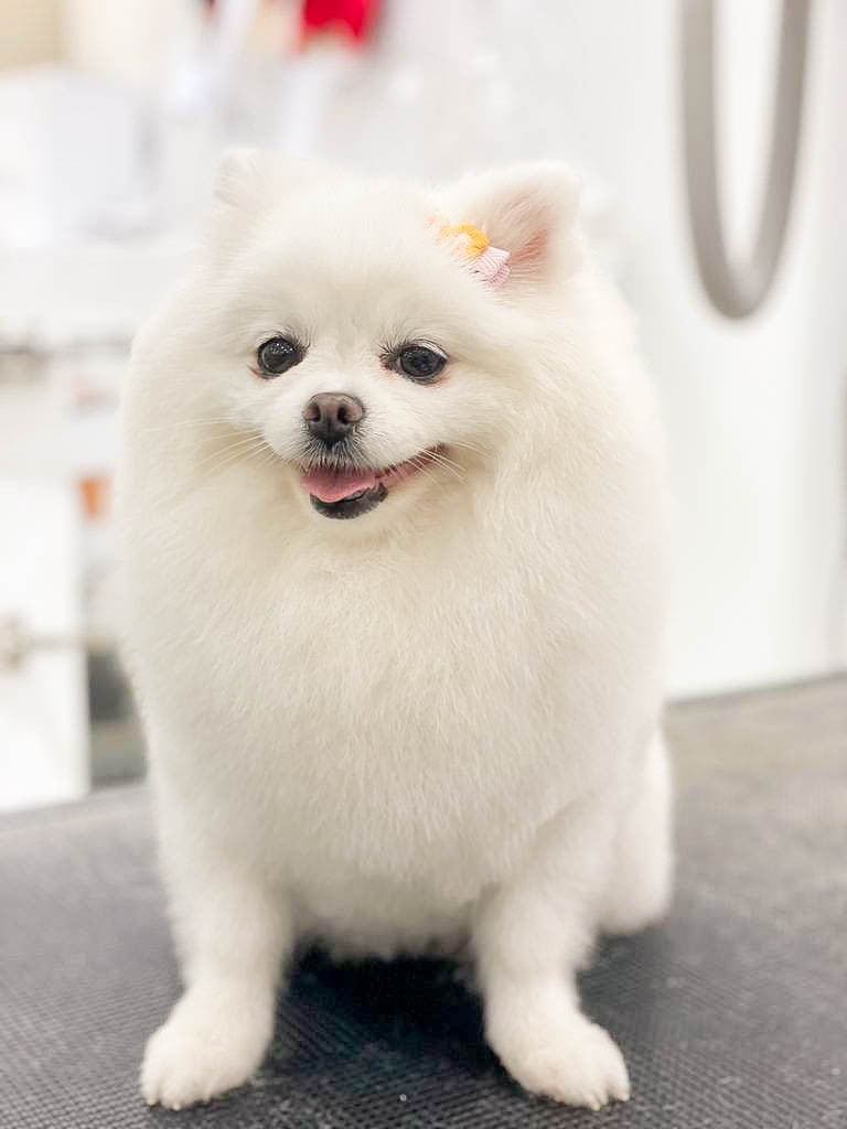 fallback text for an image