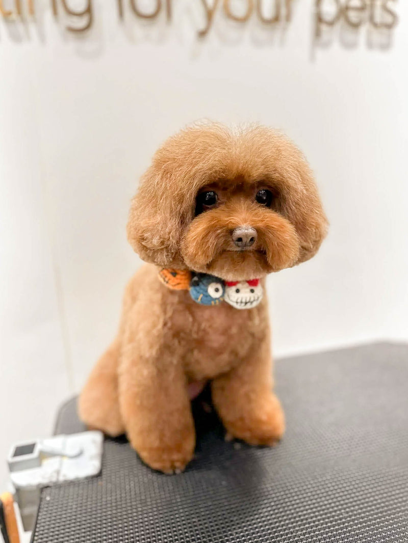 fallback text for an image