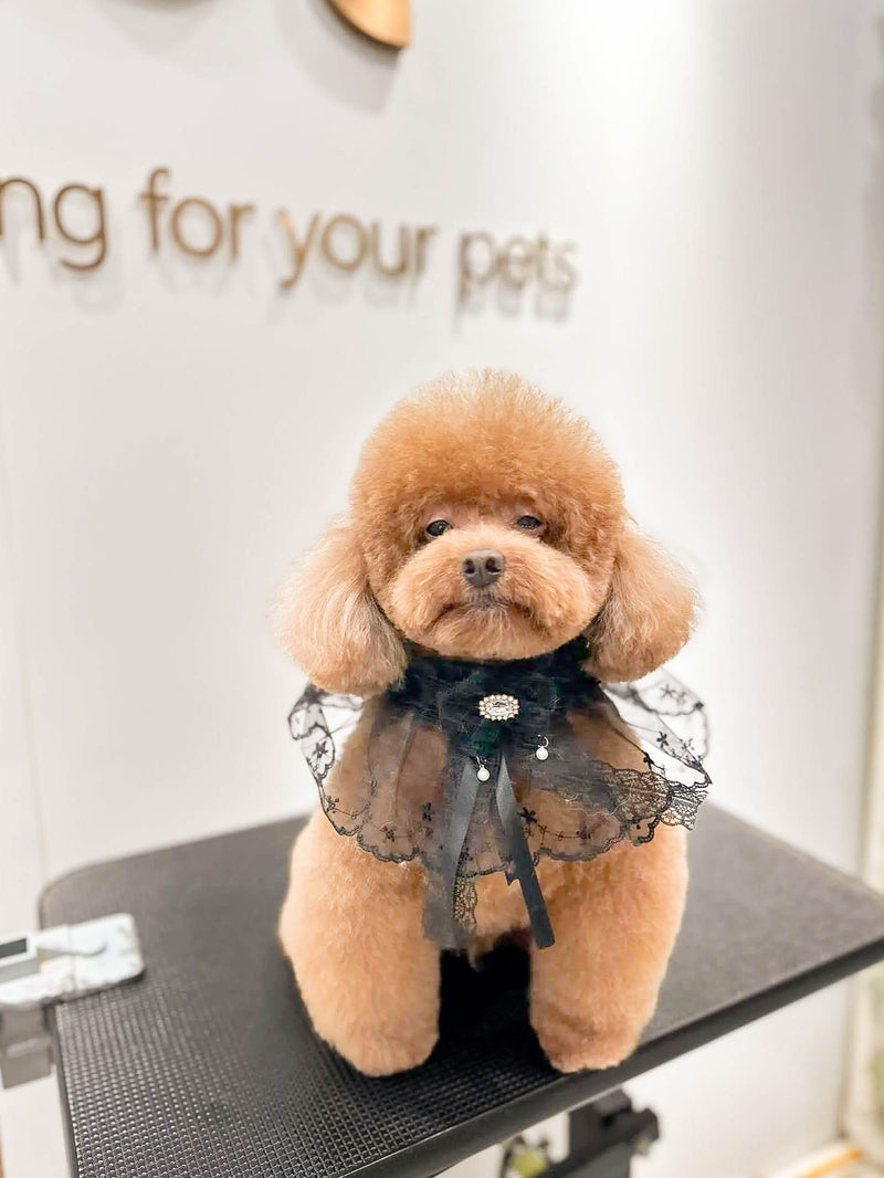 fallback text for an image