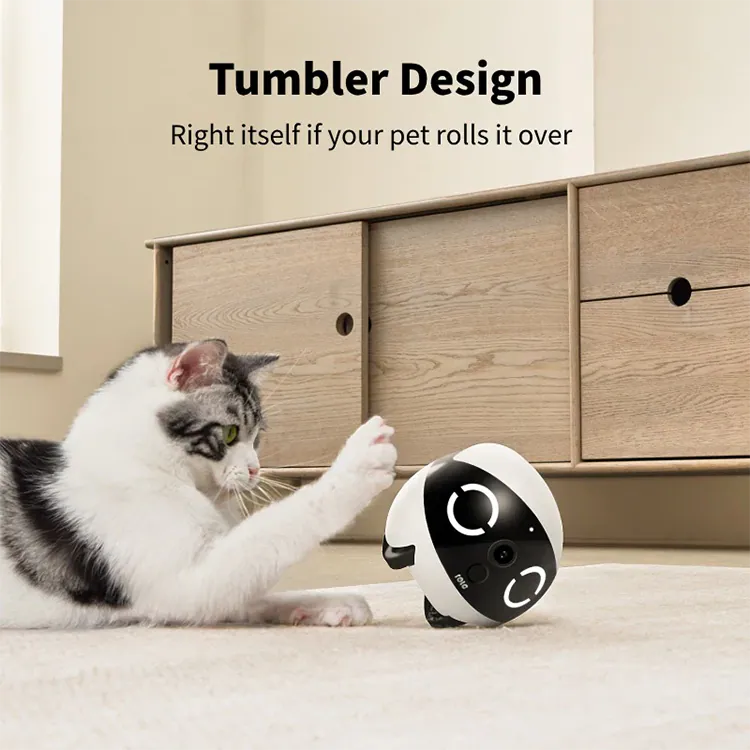 Enabot ROLA Mini 智慧移動寵物攝影機 | 2K 畫質 & 25天續航 (2K Smart Movable Pet Camera) Enabot