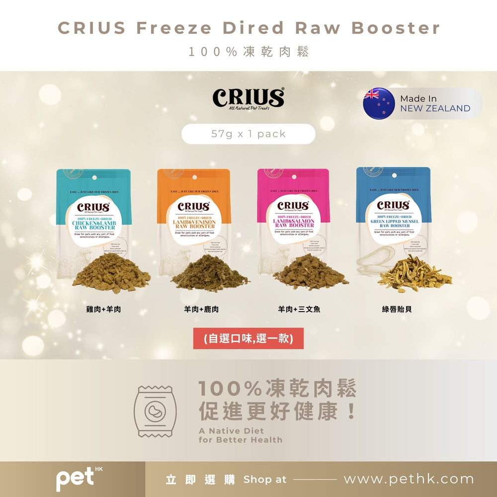 Christmas Value Pack - Premium Pet Snacks & Toy Combo PET